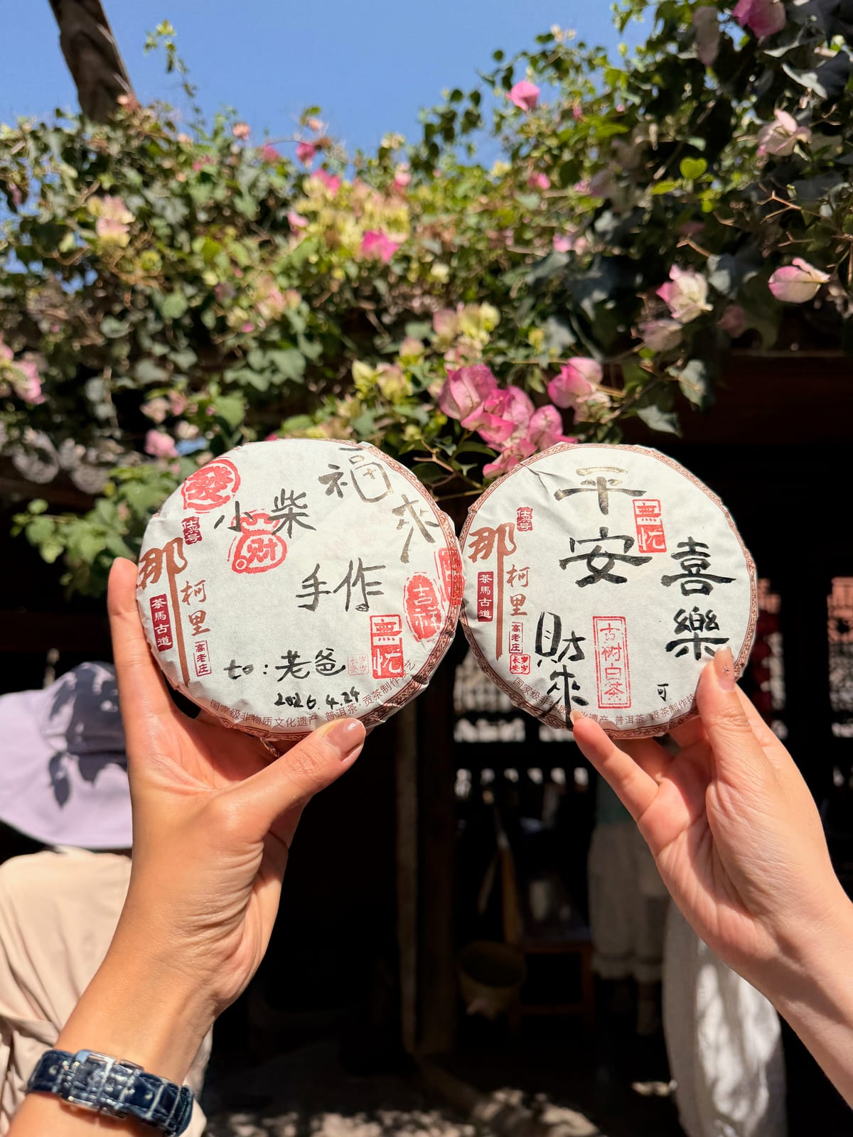 影像 · 采茶的手 / 手冲特写